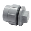 Canplas PVC DWV Female Adapter, Female National Pipe Thread (FPT) Cleanout O-Ring and Plug, Spigot x FPT